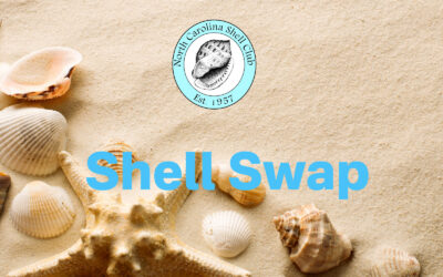 Shell Swap